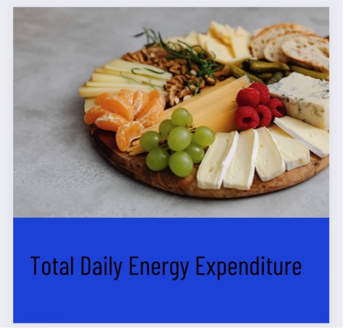 Total Energy Expenditure